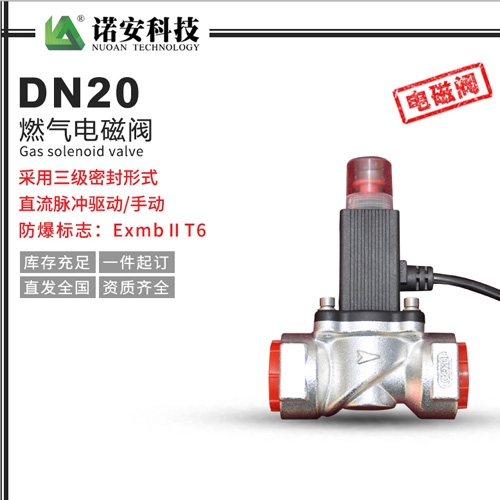 DN20燃?xì)怆姶砰y